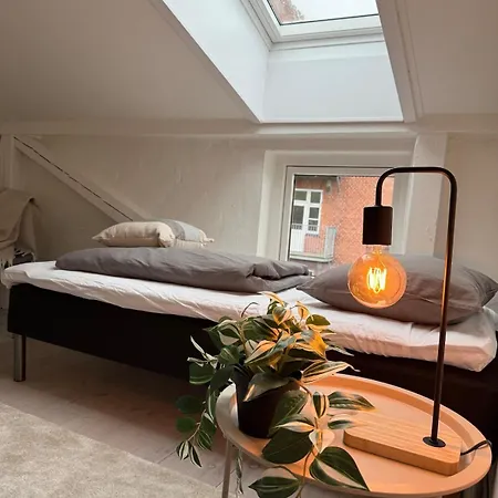 Cozy Pearl In Centre Viborg